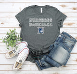 Norcross Baseball with Blue Devil
