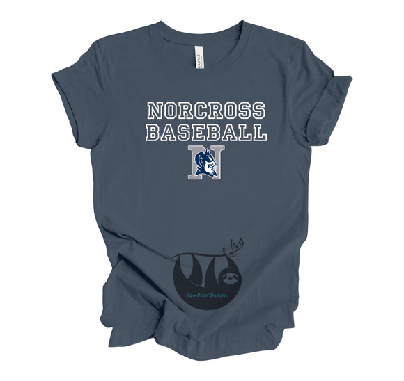Norcross Baseball with Blue Devil